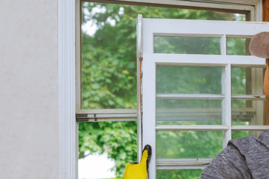 Professional Flyscreen Cleaning