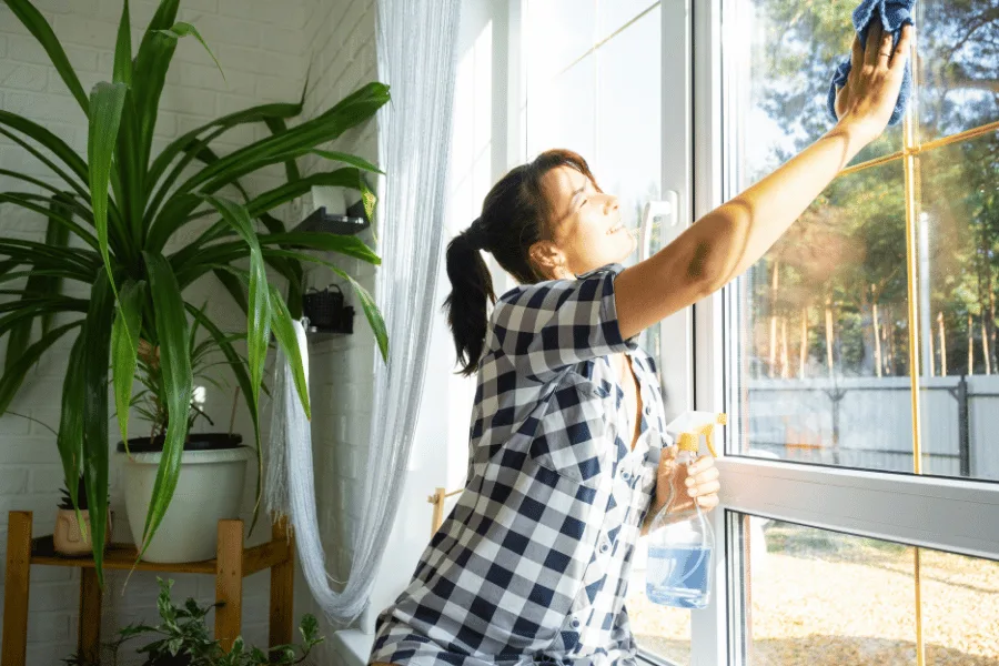 Interior Window Cleaning